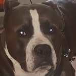 Timothy Ferrell - @timothy.ferrell.33 - Instagram