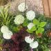 Tim Fielding - Facebook