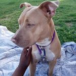 Timothy Fields - @timothy.fields.98 - Instagram