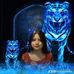 Timothy Finley - Facebook