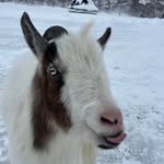 Timothy Stone - @brian.firestone.5 - Instagram