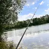 Timothy Fischer - @timothy.fischer2 - TikTok