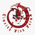 Timothy Fish Farm - @timotyfishfarm - Instagram