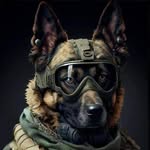 Timothy Fite - @hcso_range_monkey - Instagram