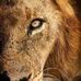 Timothy Flagg - Facebook