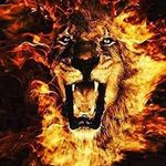 Timothy Flagg - @timothyflagg - Instagram