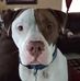 Timothy Fleck - Facebook