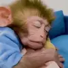 Timothy Fleck - @timothy.fleck7 - TikTok