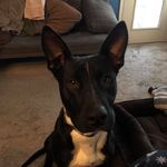 Timothy Flood - @tgflood1 - Instagram