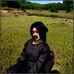 Timothy Foley - Facebook