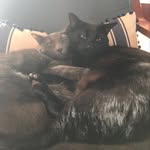 Timothy Foo - @timmyf00 - Instagram