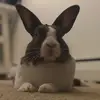 TimothyFooFoo - @timothyfoofoo - TikTok