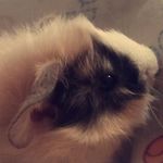 Forest Timothy Meek - @foresttimothy - Instagram