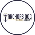 Timothy Fraley - @anchordogtrainingacademy - Instagram