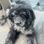 Timothy Gabel - @timothygabel55 - Instagram
