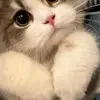 Timothy Blu Galvan - @timothy.blu.galva - TikTok