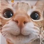 Timothy Galvan - @tim01g - Instagram