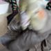 Timothy Gauld - Facebook