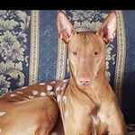 Timothy Giltner - @timmy71983 - Instagram