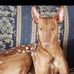 Timothy Giltner - Facebook