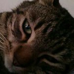 Timothy Glasgow - @glasgowtimothy - Instagram