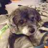 tinytim140 - @timothygoble547 - TikTok