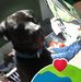 Tim Gosnell - Facebook