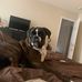 Timothy Godshall - Facebook