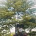 Timothy Gustilo - Facebook