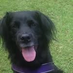 Timothy Jegust - @timothyjegust - Instagram
