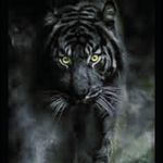 Timothy L. Haddock - @blueheartbreaker3 - Instagram