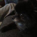Timothy Hager - @timmy_turner120 - Instagram