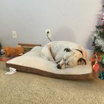 Timothy Hager - @timstagram2018 - Instagram