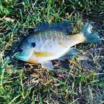 Timothy James Hager - @timothyjameshag - Instagram