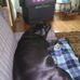 Tim Hallman - Facebook