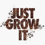 Timothy Hammond | Urban Gardener - @bigcitygardener - Instagram