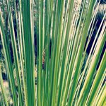 Timothy Hancock - @timothyhancock1977 - Instagram