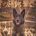 Timothy Hancock - Facebook