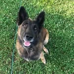 Timothy Hancock - @timothyhancock1970 - Instagram