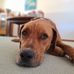 Timothy Harbison - Facebook