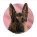 Timothy Harville - Facebook