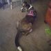 Tim Hauser - Facebook