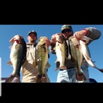 Timothy Havard - @timothyhavard - Instagram