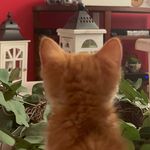 Jackie Timothy Marlow Hayward - @jackietimothymarlow - Instagram