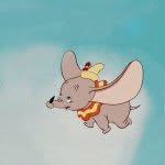 Dumbo - @timothy_hearst - Instagram