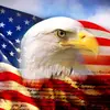 Timothy Hearst - @timothy.hearst2 - TikTok