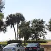 timothyheisler - @timothy.h55 - TikTok