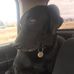 Timothy Hibbard - Facebook