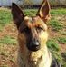 Timothy Hibner - Facebook