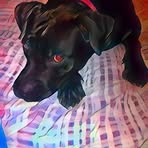 Timothy Hildreth - Facebook